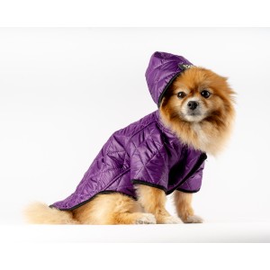 67454 KAPŞONLU KAPİTONE MONT - 5 Lİ ELBİSE (MOR)