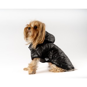 67409 KAPŞONLU KAPİTONE MONT - 5 Lİ ELBİSE (SİYAH)