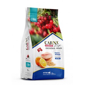 CARNİ LİFE BALIK & PORTAKAL KİTTEN KEDİ MAMASI 10 KG