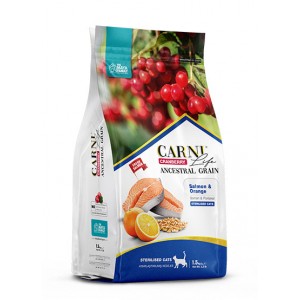 CARNİ LİFE BALIKLI STERİLİZED KEDİ MAMASI 10 KG 