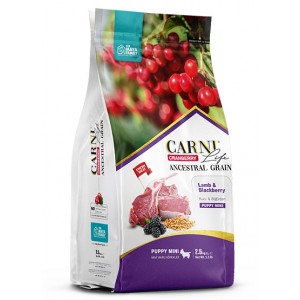 CARNİ LİFE KUZU ETİ & BÖĞÜRTLEN PUPPY MİNİ KÖPEK MAMASI 2,5 KG