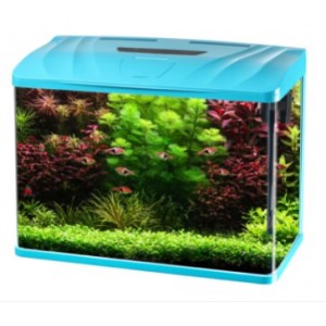 RS-500F İTHAL AKVARYUM (50*30*45 CM)