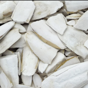 KIRIKLI KALAMAR KEMİĞİ KOLİLİ (10 KG)