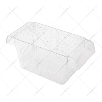 ATLANTİK KRİSTAL YAVRULUK - İKİLİ 