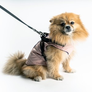 66020 TASMALI SIRT FERMUARLI YELEK - 5 Lİ ELBİSE