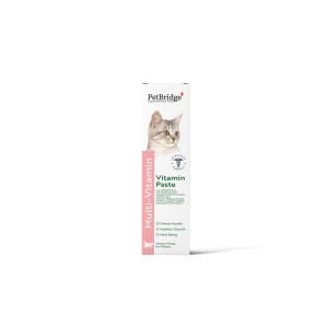 PET BRİDGE MULTİVİTAMİN KİTTEN PASTE 100 ML