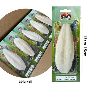 EXOVİT KALAMAR KEMİĞİ 13CM-15CM BLİSTER KUTULU (60)