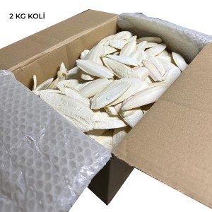 KALAMAR KEMİĞİ KOLİLİ 2 KG