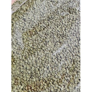 ATLANTİK BALIK YEMİ 1500 GR - TANGANYİKA CİCHLİD GRANULAT 