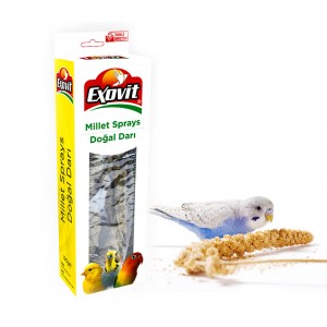 EXOVİT DOĞAL DAL DARI KUTU 100 GR (30)