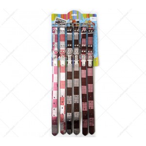 17-8-23 6 LI SET 2,5 CM İSİMLİKLİ BOYUN TASMA (2,5*50 CM)