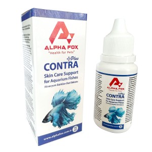 ALPHA FOX CONTRANEA