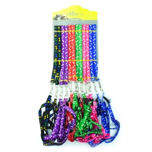 20-1-41 CADO PET 12 Lİ SET 1,5 CM DESENLİ BEL TASMA TAKIM