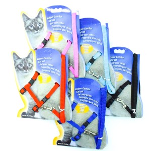 20-28-28 CADO PET 1 CM KARTONLU DÜZ BEL TASMA TAKIM (12)