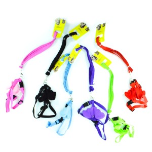 20-28-30 CADO PET 1,5 CM KANATLI BEL TASMA TAKIM (12)