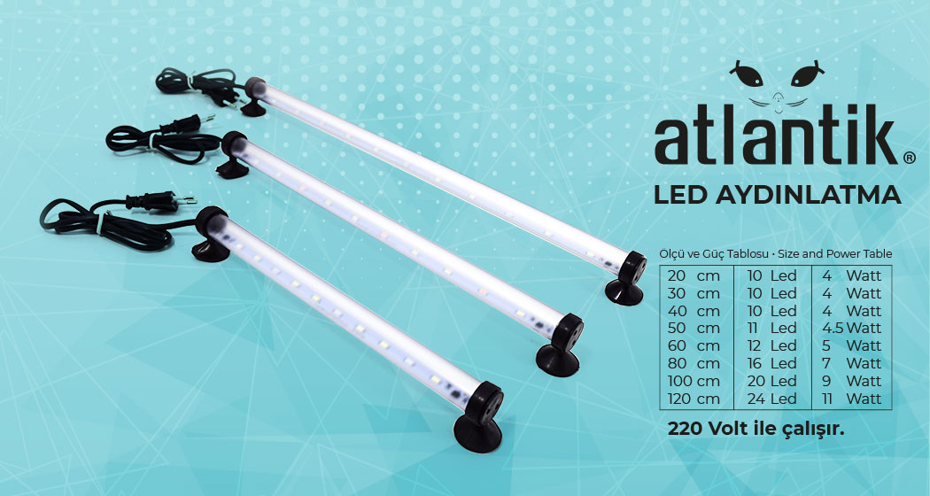 LED LAMBA