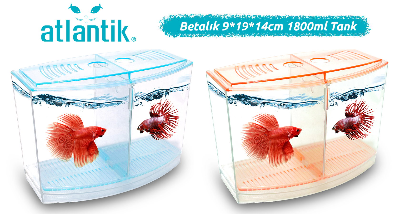 Atlantik Betalık
