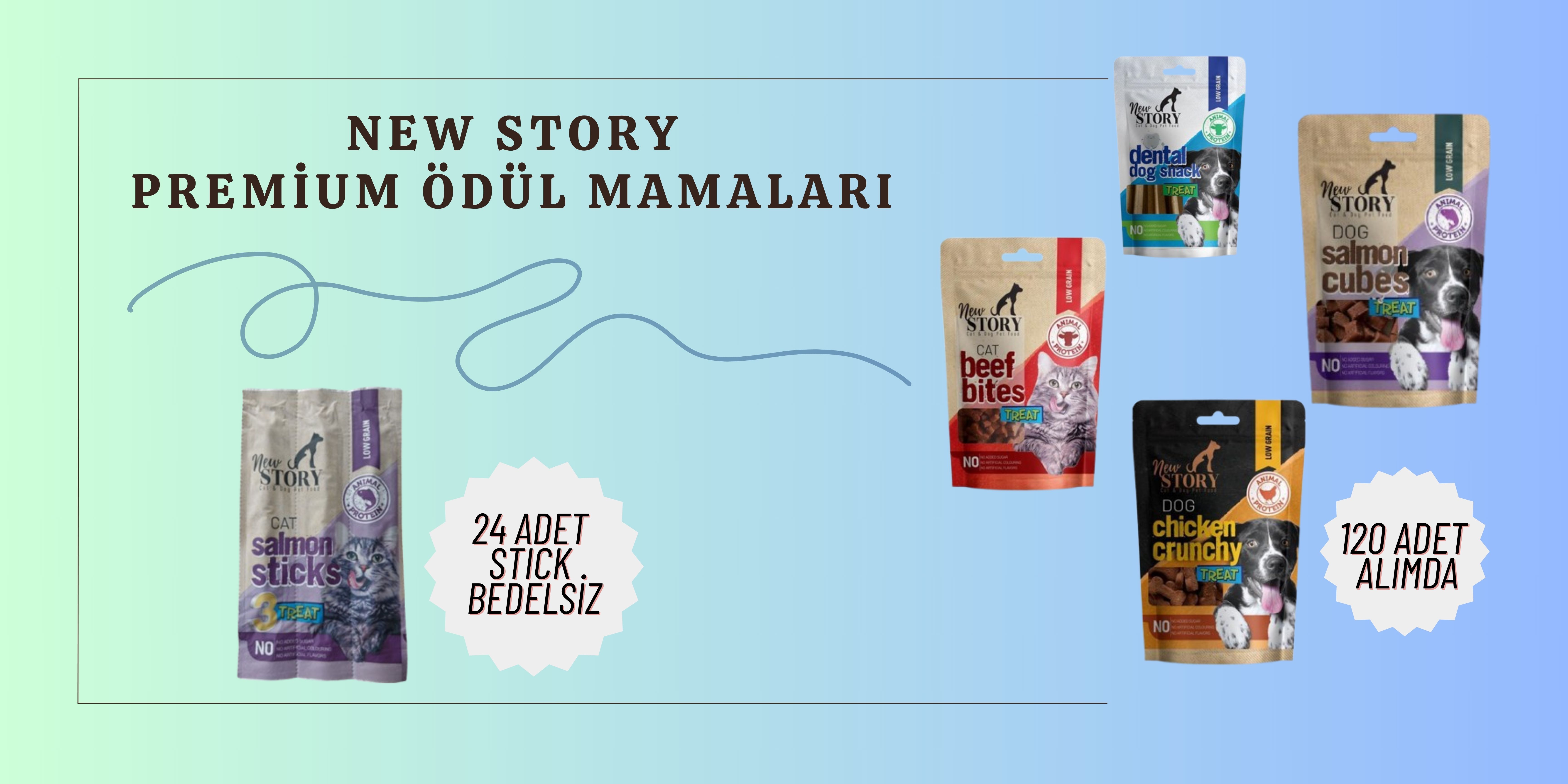Kediyeli New Story