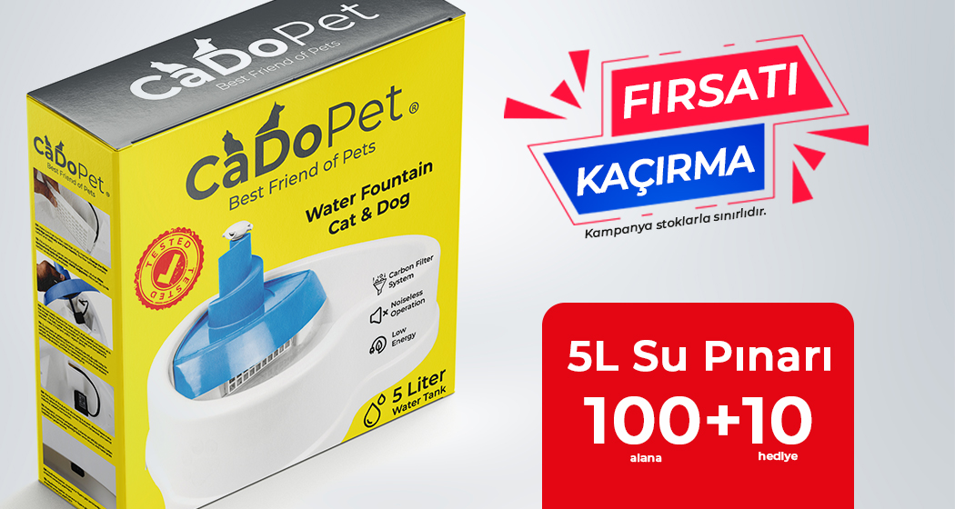 CaDoPet 5L Su Pınarı